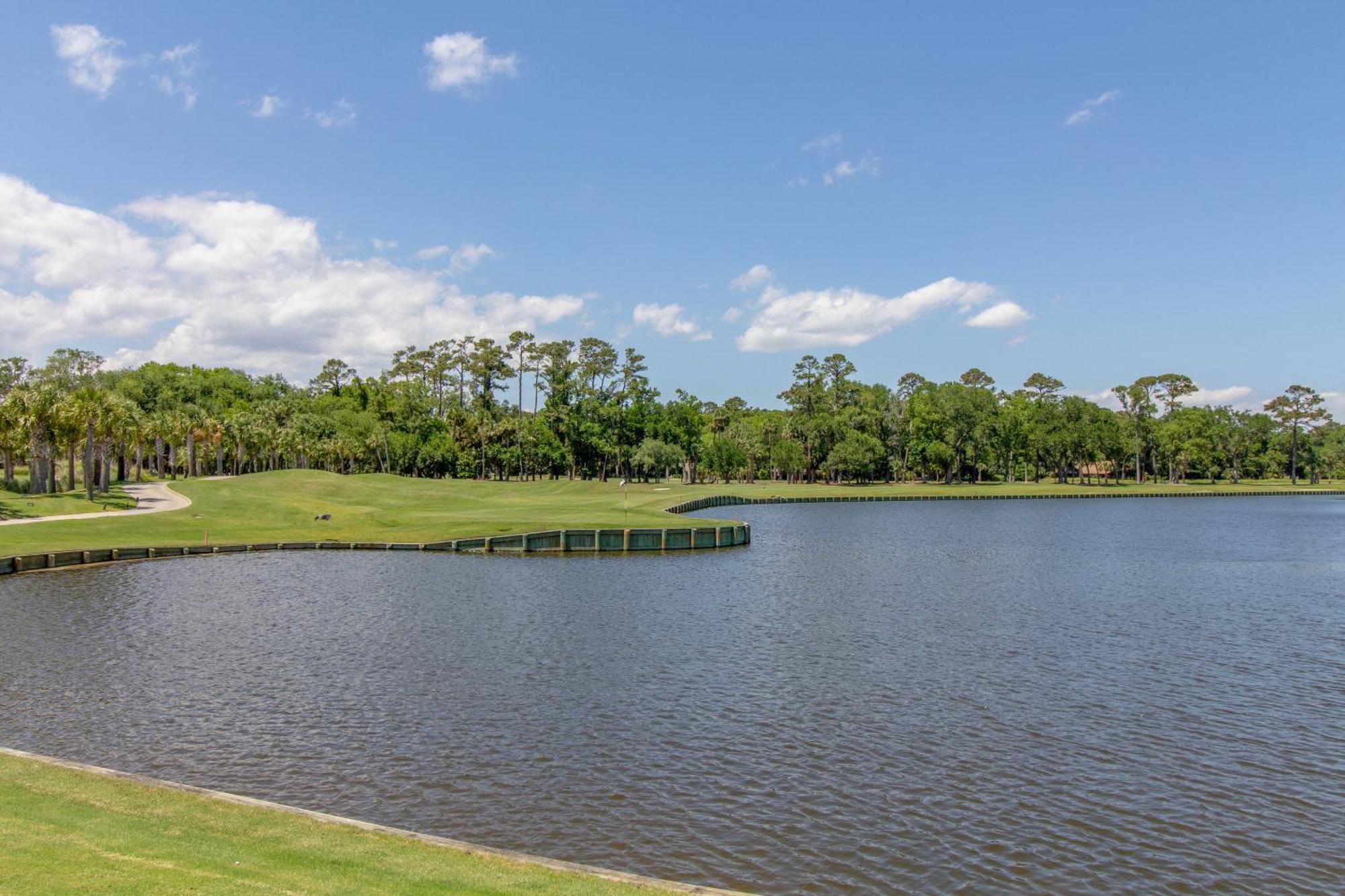 Bluff Villas 1673 ヒルトンヘッドアイランド エクステリア 写真